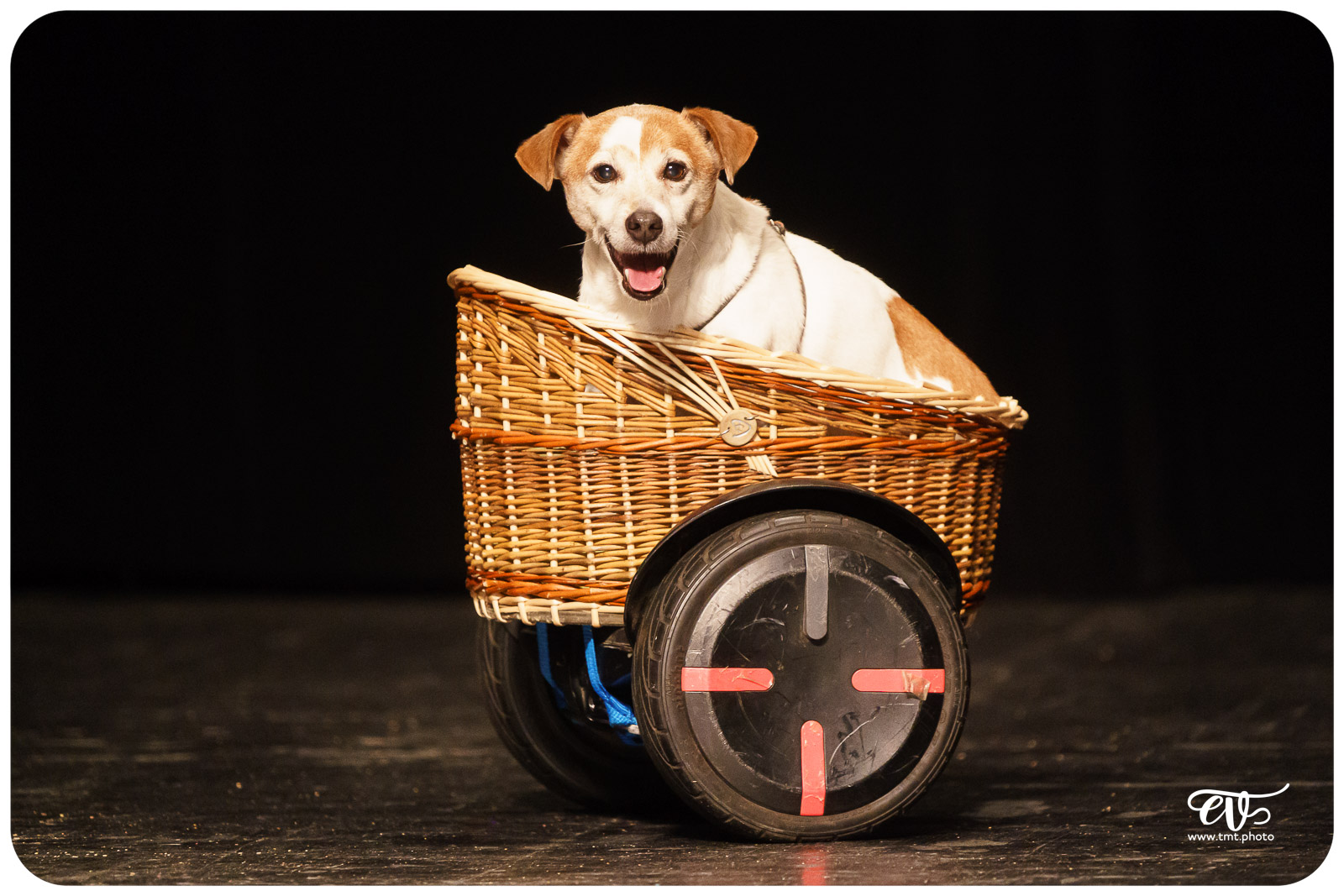 ExCENTRIQUES (CIE LES ACROSTICHES)